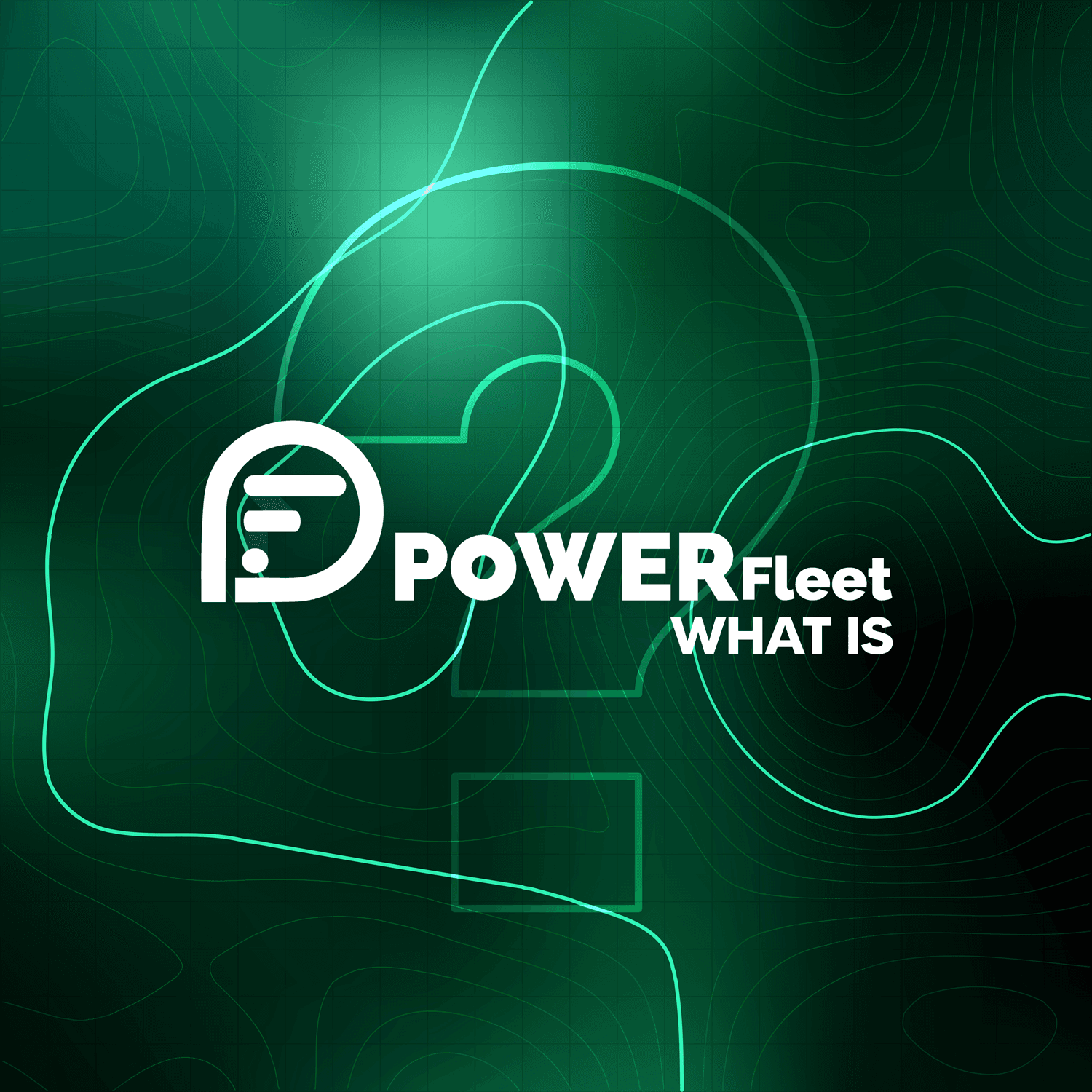 About Power Fleet